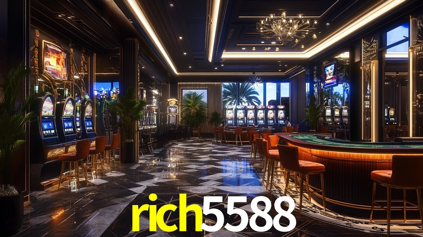 Premium Interface rich5588